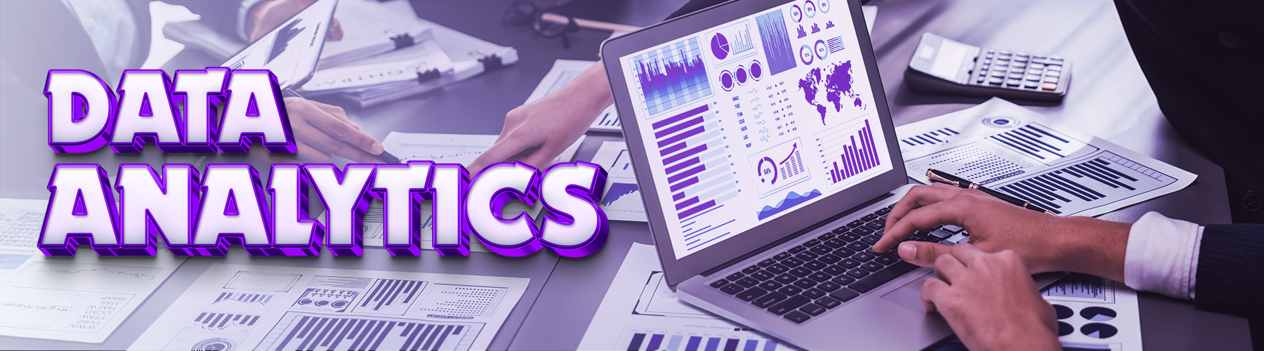 Data or Business Analytics